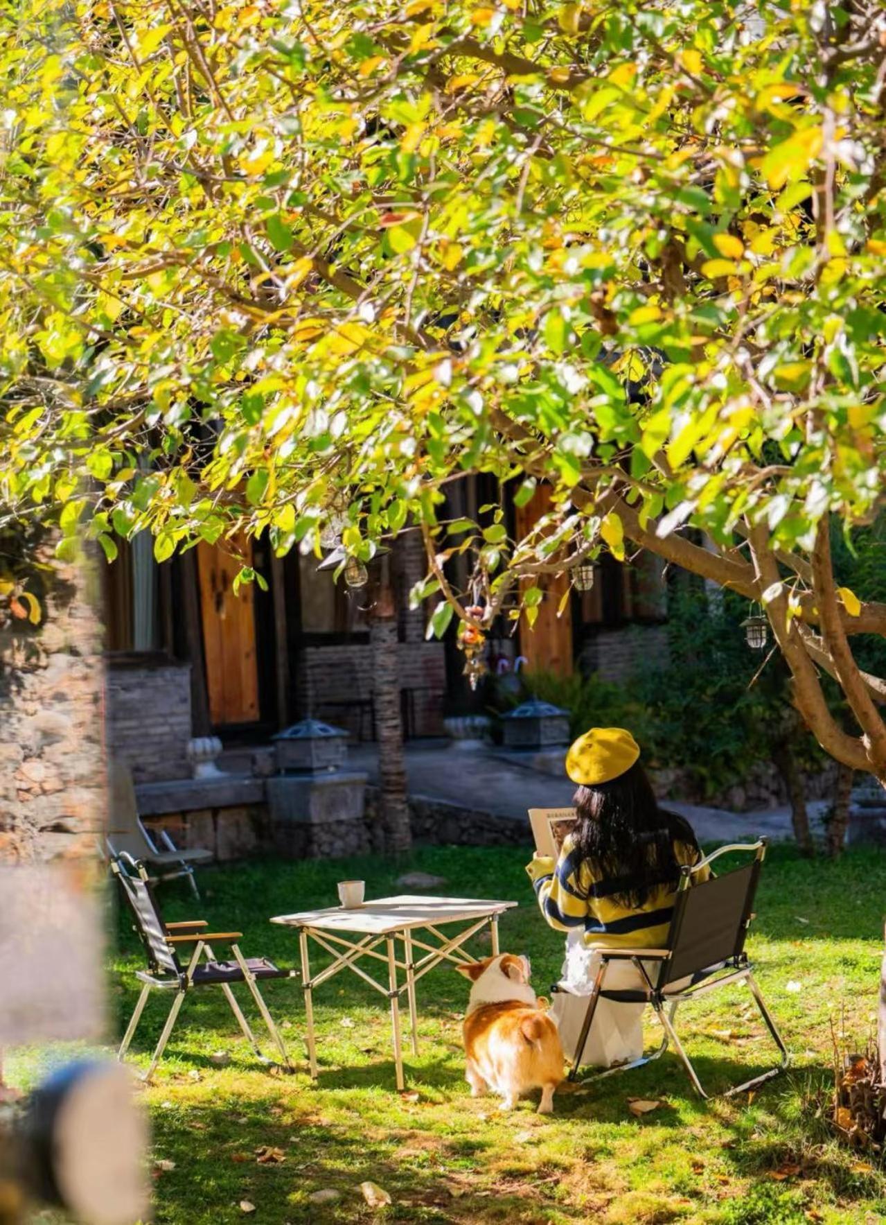 Adonis Inn Lijiang Лицзян Экстерьер фото